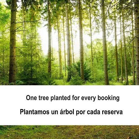 Fidalsa Pacific * El Moncayo